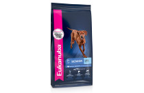 Food and treats for dogs