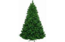 Fir-tree