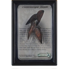 Collecta Figurka Collecta COLLECTA ZĄB TRICERATOPSA W OPAKOWANIU