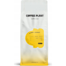 Coffee Plant - Floral Espresso 1kg