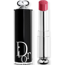 Dior Christian Dior, Addict, Shine, Cream Lipstick, 481, Desir, Refillable, 3.2 g For Women