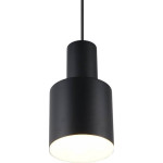 Trio Lampa wisząca Trio LAMP PENDANT TRIO AGURO E27B