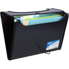 Strigo Teczka A4 z 12 przekładkami V-file czarna