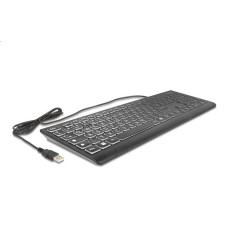 Delock USB Tastatur kabelgebunden 1.5m schwarz mit XXL Buchstaben und Beleuchtung