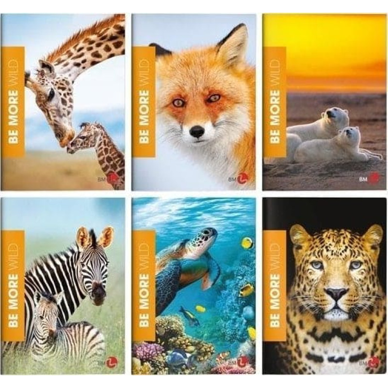 Koh I Noor Zeszyt A4/36K kratka Be More Wild (10szt)