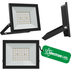 Wojnarowscy NOCTIS LUX 4 NAŚWIETLACZ 50W CW 230V IP65 176x137x25mm CZARNY