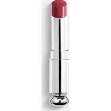 Dior Christian Dior, Addict, Shine, Cream Lipstick, 667, Diormania, Refill, 3.2 g For Women