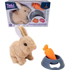 Askato Króliczek na baterie z akcesoriami