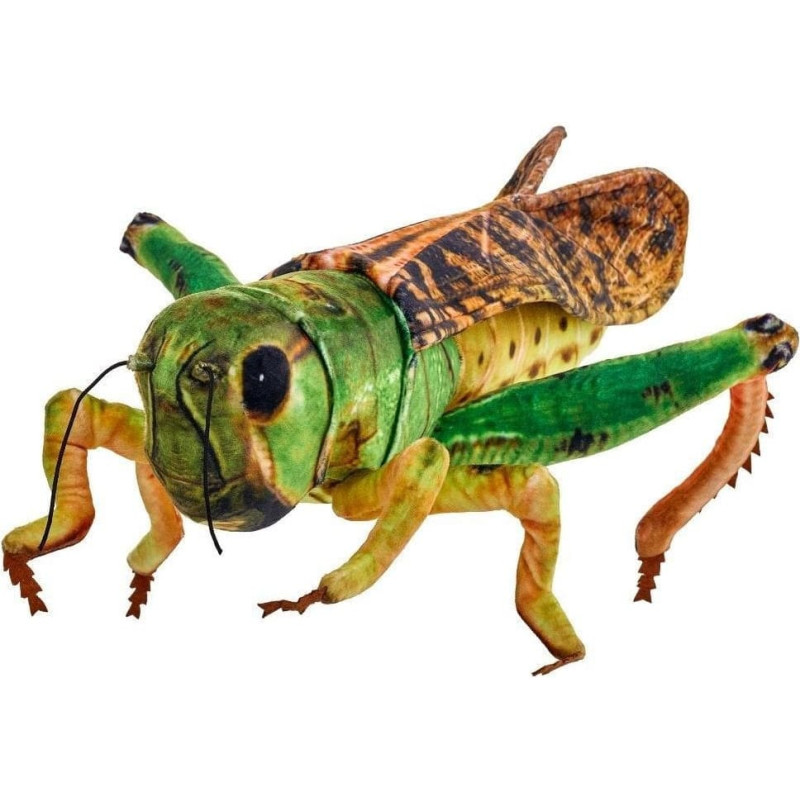 Beppe Konik polny 41cm