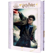 Wizarding World Harry Potter: Magiczne puzzle - Księga - Pojedynek Harry'ego (300 elementów)