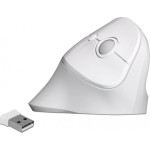 Delock Ergonomische USB Maus vertikal - kabellos