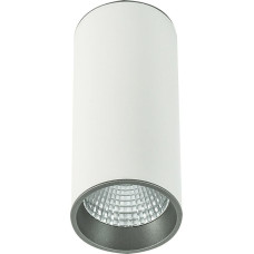 Italux Lampa sufitowa Italux Moldes Big WH/GR Ceiling 3000K SLC7392/12W 3000K WH+GR