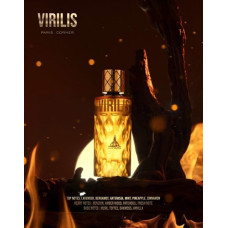 Alkotest PARIS CORNER Virilis EDP spray 100ml