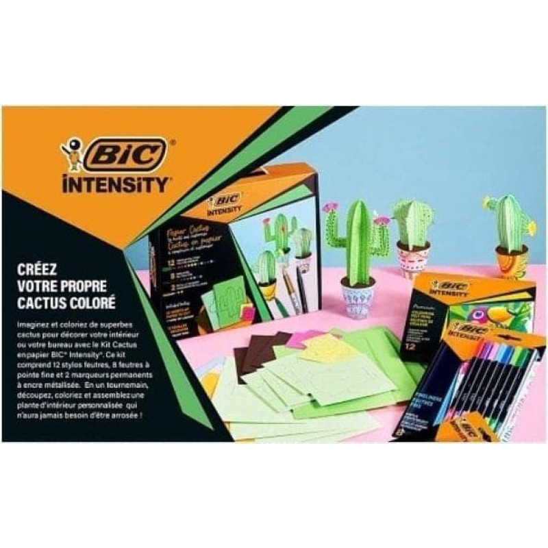 BIC Zestaw Intensity Paper Cactus BIC