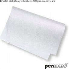 Penword BRYSTOL BROKAT 40x60cm 200gsm SREBRNY a5