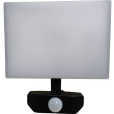 Standart FLOODLIHGT LED 30W 4000K 3279LM IP65 PIR