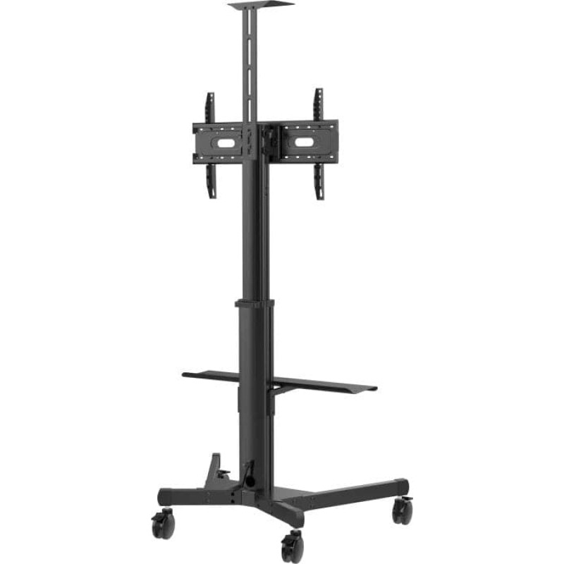 Vision VFM-F22, 2.03 m (80