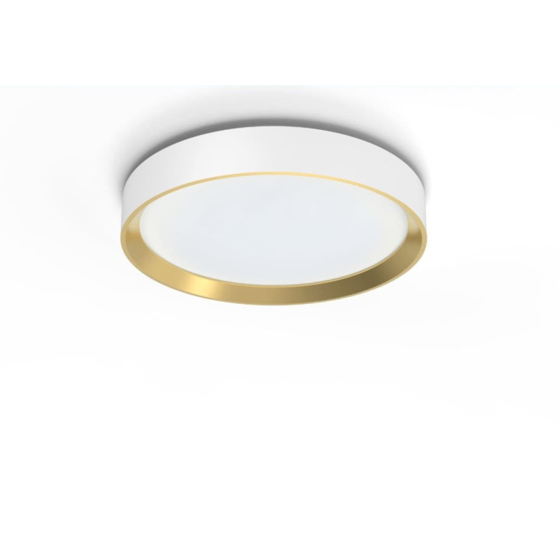 Philips HANNO CEILING SS RD 24W 27K W_G