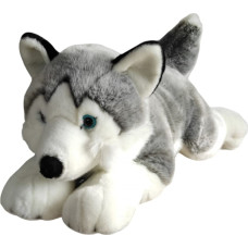 Dubi Maskotka Pies Husky Leżący Duży Pluszak 62cm Miękka Przytulanka Miś Piesek