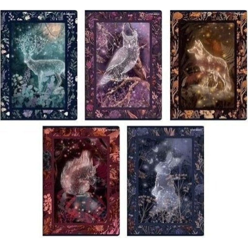 Top 2000 Zeszyt A5/32K linia Fairytale (10szt) TOP2000