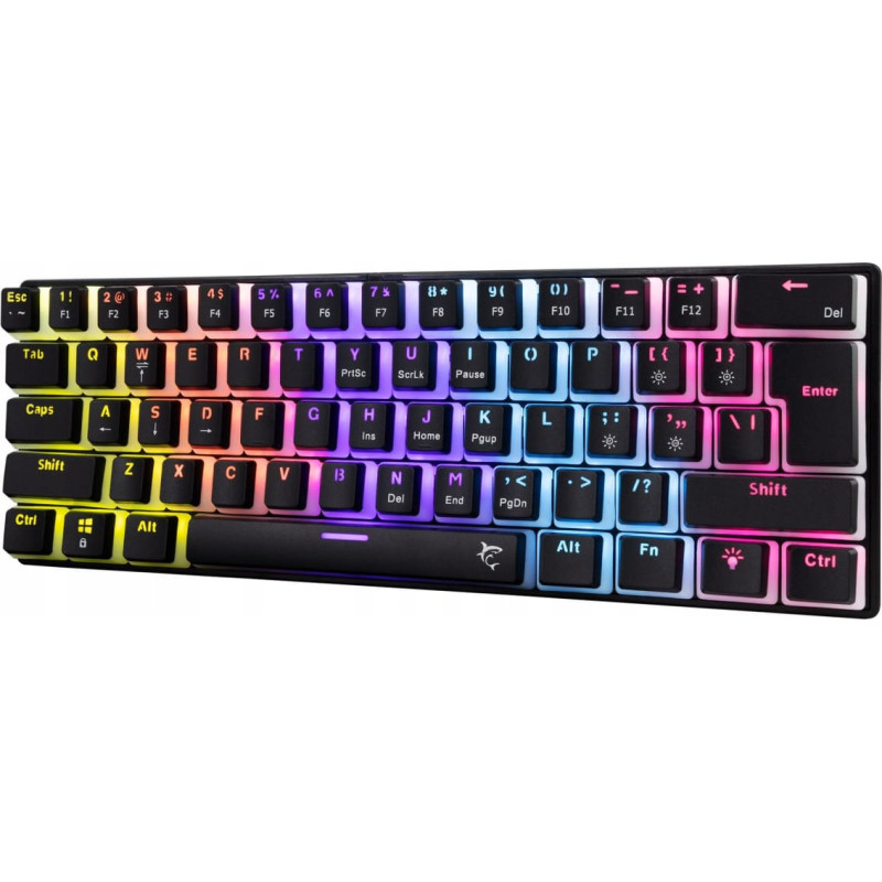 White Shark Ashiko-2 black US