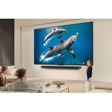 LG TV 55QNED84A3C