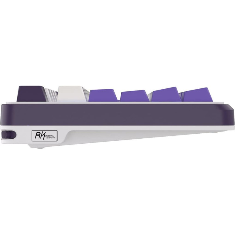 Royal Kludge RK-S98 Blackberry Mousse Gaming Keyboard Brown switch