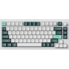 Keychron Q1 HE QMK Wireless Custom Keyboard Fully Assembled Knob / Shell White / Gateron Double-Rail Magnetic Nebula Switch