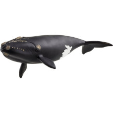 Schleich North Atlantic Right Whale