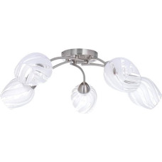 Domoletti Lampa sufitowa Domoletti CEILING LAMP CL17061-5 5X60W E27