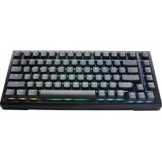 Ducky Klawiatura Ducky Ducky Tinker 75 Gaming Keyboard, RGB, black - MX-Speed Silver (ANSI)