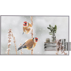 LG OLED Signage | 55EW5P-M | 55 