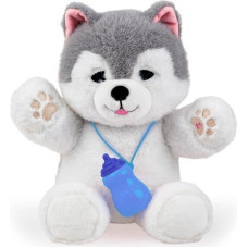 Dumel Piesek Husky