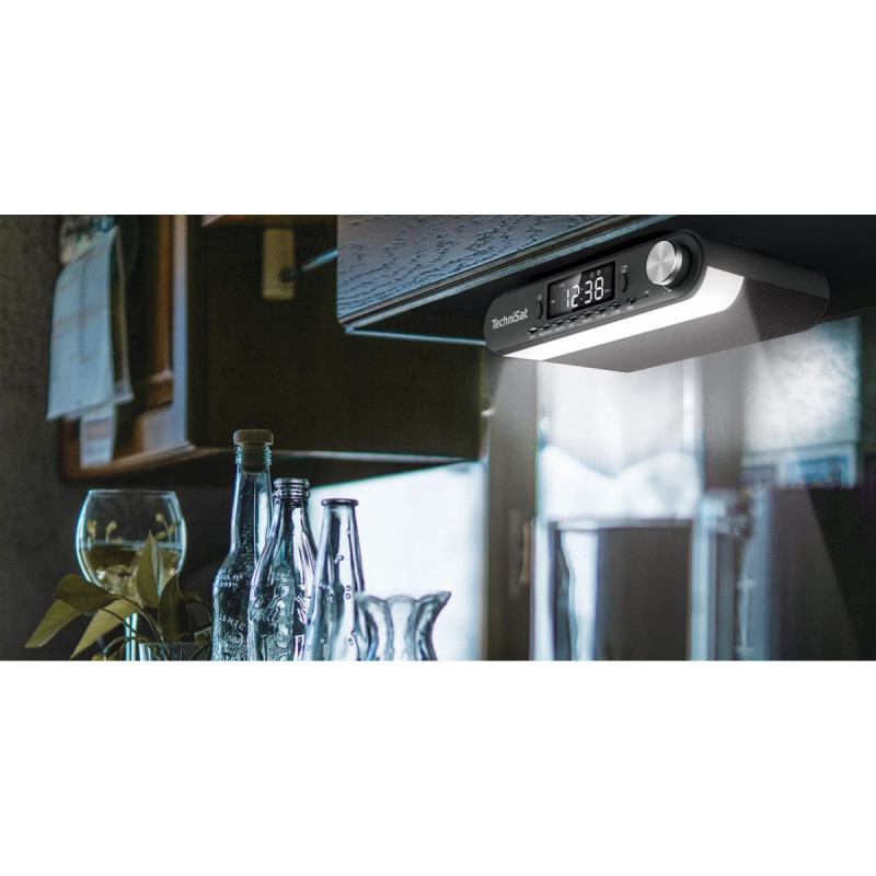 Technisat Viola anthrazit