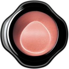 Shiseido SHISEIDO_Perfect Rouge pomadka do ust BE740 4g