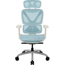 Thunderx3 XTC Ergonomischer Bürostuhl - weiß/blau
