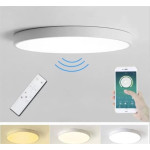 Tope Lampa sufitowa Tope CEILING LAMP BOSTON2X60W D80RC LED WHITE
