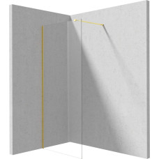 Deante Ścianka prysznicowa walk-in 70 cm