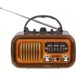 Blow Portable analog AM/FM radio RA16 solar