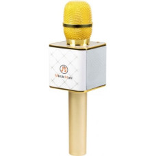 Technaxx Mikrofon Technaxx MusicMan Karaoke (BT-X31GOLD)