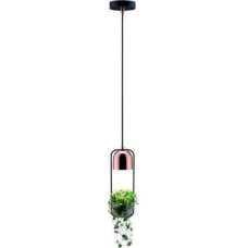 Paulmann Lampa wisząca Paulmann Oprawa wisząca Neordic Fanja 1x20W GU10 Czarny/Miedź 230V Metall PL79749