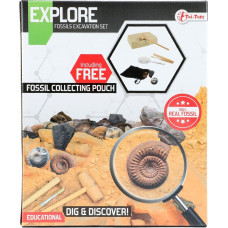 Leantoys *****Wykopaliska skamieliny 59573