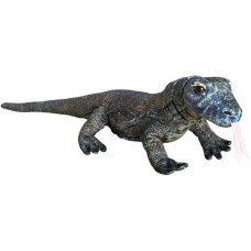 Dubi Waran z Komodo 70cm