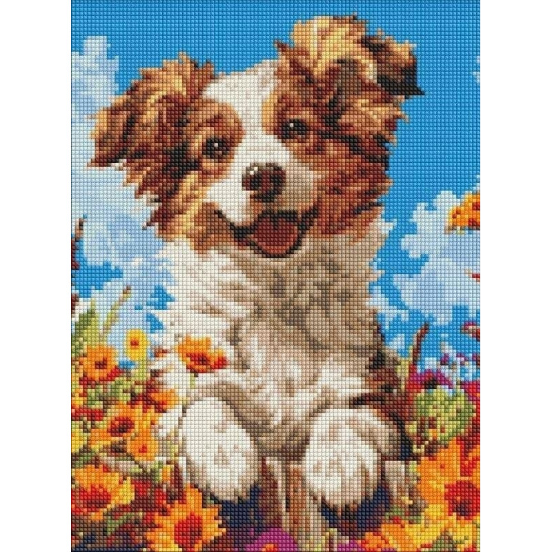 Ideyka Diamentowa mozaika bez ramy -Pies w kwiatach 30x40