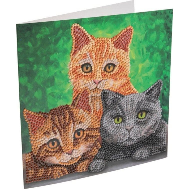 Hot Wheels Cats, 18x18cm Crystal Art Card