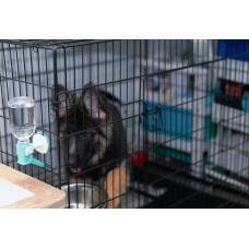 Ender Klatka Kennelowa dla psa M 61 x 42 x 48,5 cm PET7611 CHOMIK