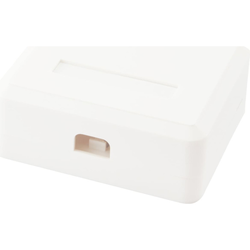 Equip Aufputzdose 2x Keystone Jack mit Abdeckung weiß