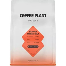 Coffee Plant Kawa ziarnista Coffee Plant kawa ziarnista Etiopia Taferi Kela Washed filtr 250 g