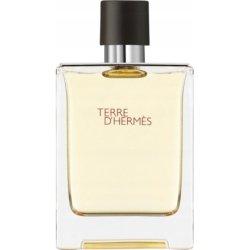 Hermes Terre D'hermes Eau De Toilette Purškiklis 100ml