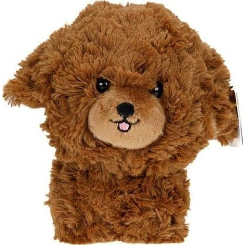 Carmotion Maskotka Teddy Pets, Pudel, brązowy